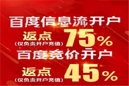 SEM代理实战：成功案例分享与经验总结