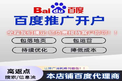 案例分享：百度竞价广告投放策略与效果
